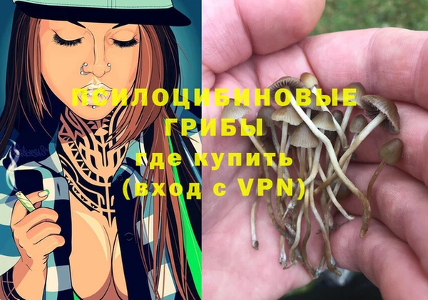 первитин Володарск