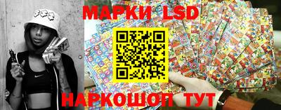 Альфа ПВП Гатчина