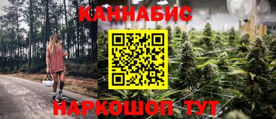 Альфа ПВП Гатчина