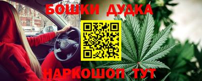МДПВ Гай