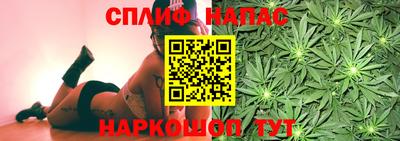 PSILOCYBIN Гагарин