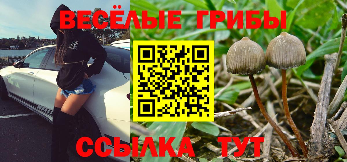 Галлюциногенные грибы Magic Shrooms Назарово