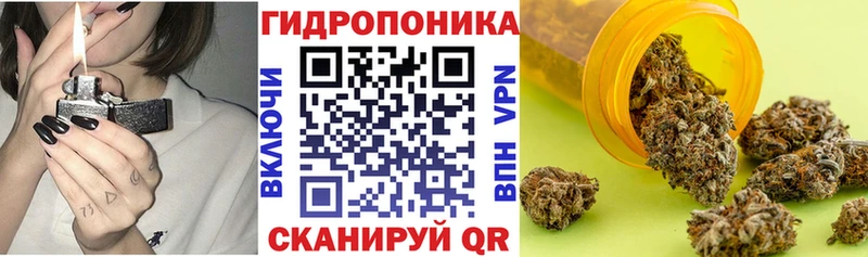 дарнет шоп  Назарово  Бошки Шишки MAZAR 